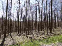 Lot 3 Poplar