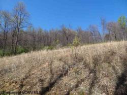 Lot 35 Pine Ridge
