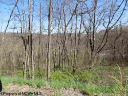 Lot 41 Stonecrest