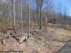 Lot 20 Mont Chateau
