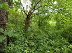 2.13 AC Hill