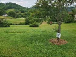 Phase I Lot 15 Evergreen
