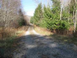 lot 49 Mountain View Road