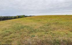Lot 29 Meadow Lark