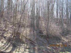 TBD Rattler Ridge
