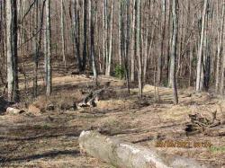 TBD Rattler Ridge