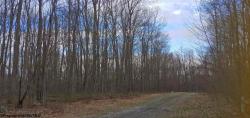  Galilee Road Lots 15 & 16