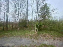 Lot 15 Chickadee Lot 15 Birchesgarten Section