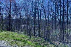 Lot 1 Lakeview Dr Estates At The