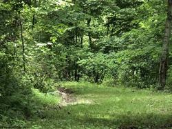 Route 43 Wades Run