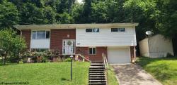 20 Redbud