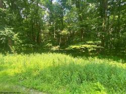 lot 94 Alpine Lot 94 Luzerne Section
