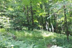 Lot 14 Meadows High Mountain