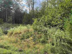 lot 46 Mountain View