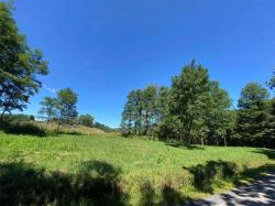 XXXX Butcher's Ridge