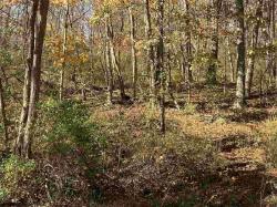 TBD Middleville County Line Road