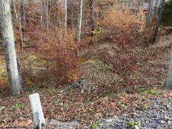 Lot 67 Slopeside