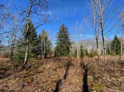 9 Chickadee Lot 9 Blackwater Annex, Ii  Timberline