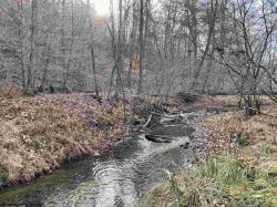 389 Lick Run