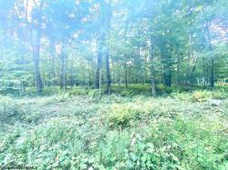 Lot 79 Pine Lot 79