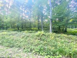 Lot 81 Pine Lot 81