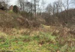 102 A Bierer .999 Acres West Run Road
