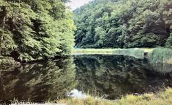 390 Potts Run