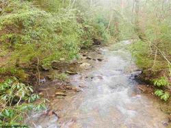 64 Acres Martin