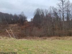 Lot 4 Guston Run Road