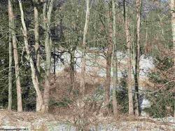Lots 29 & 30 Snowy Creek