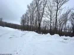 Lot 85 Mid Mountain