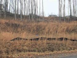 Lot 137 Oakmont