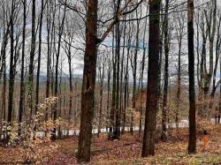 Lot 83 Hillside Lot 83 Winterhaven