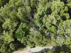 4762 Ridgetop
