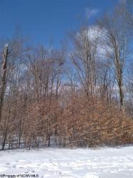 Lot 41 Winterset