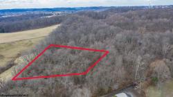 TBD Mt Union Farm View
