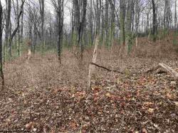 3.88 Acres Sterling