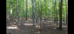 TBD Tract A1 - Rock Lake