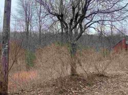 Lot 52 Pine Barvarian Section