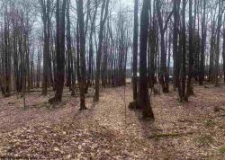 Lot #19 Hemlock Ridge Snowy Creek Estates