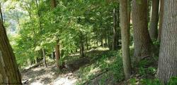 Lot 5 & 6 Dock View