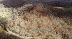 TBD Five Fork Hill
