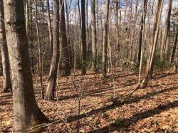 LOT 38 Lake Corner