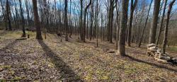 Five Forks