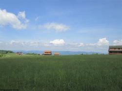 29 Pointy Knob