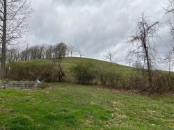 TBD County Road 19