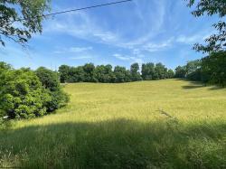 Lot 5 Vineyard