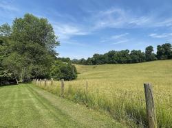 Lot 3 Vineyard