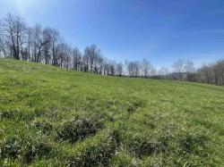 Lot 4 Vineyard