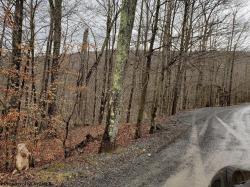 18 Brookside Northface 18